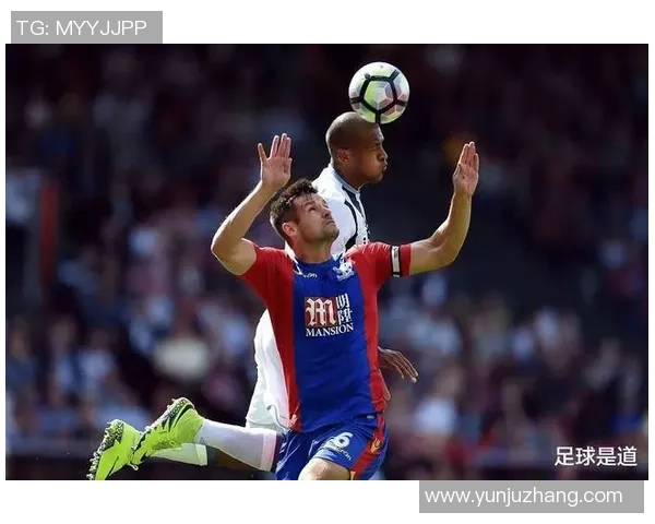 哈德斯与沃特福德激战正酣比赛结果揭晓引发热议 哈德斯与沃特福德激战正酣比赛结果揭晓引发热议