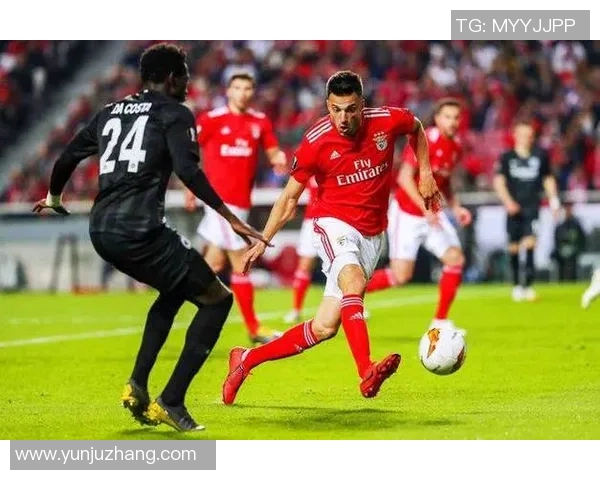 霍芬海姆与贝菜格红星精彩对决视频回顾与分析